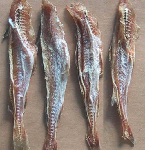  Dried   Cod 