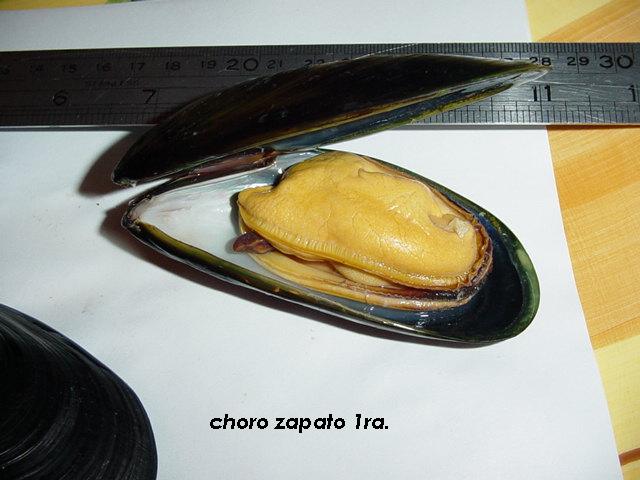Mussel Meal (Choro price - 21food