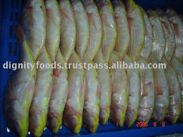 Frozen Japanese Threadfin/ Bream