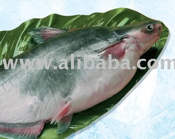Frozen Seafood