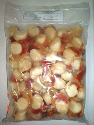 Frozen Scallops