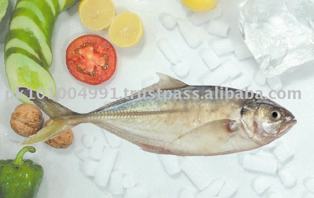 Green-Tail Scad
