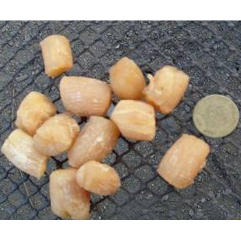 Dried Peruvian Scallops