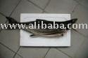 G&G whole round Cobia