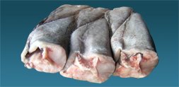 Southern hake