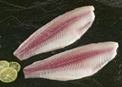 BASA PANGASIUS