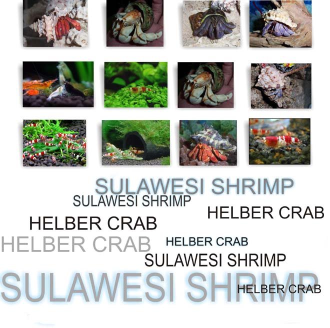  fish eries product