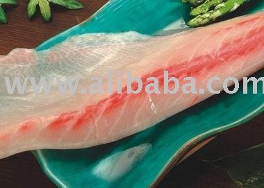 Cobia
