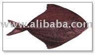 Black Pomfret