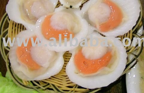  Scallop   Half   Shell 