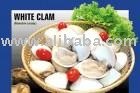 WHITE CLAM