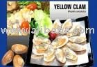 YELLOW CLAM