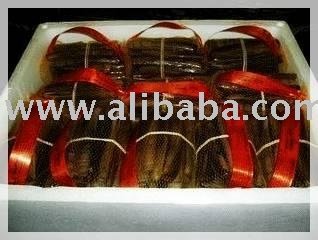 Bamboo Clam