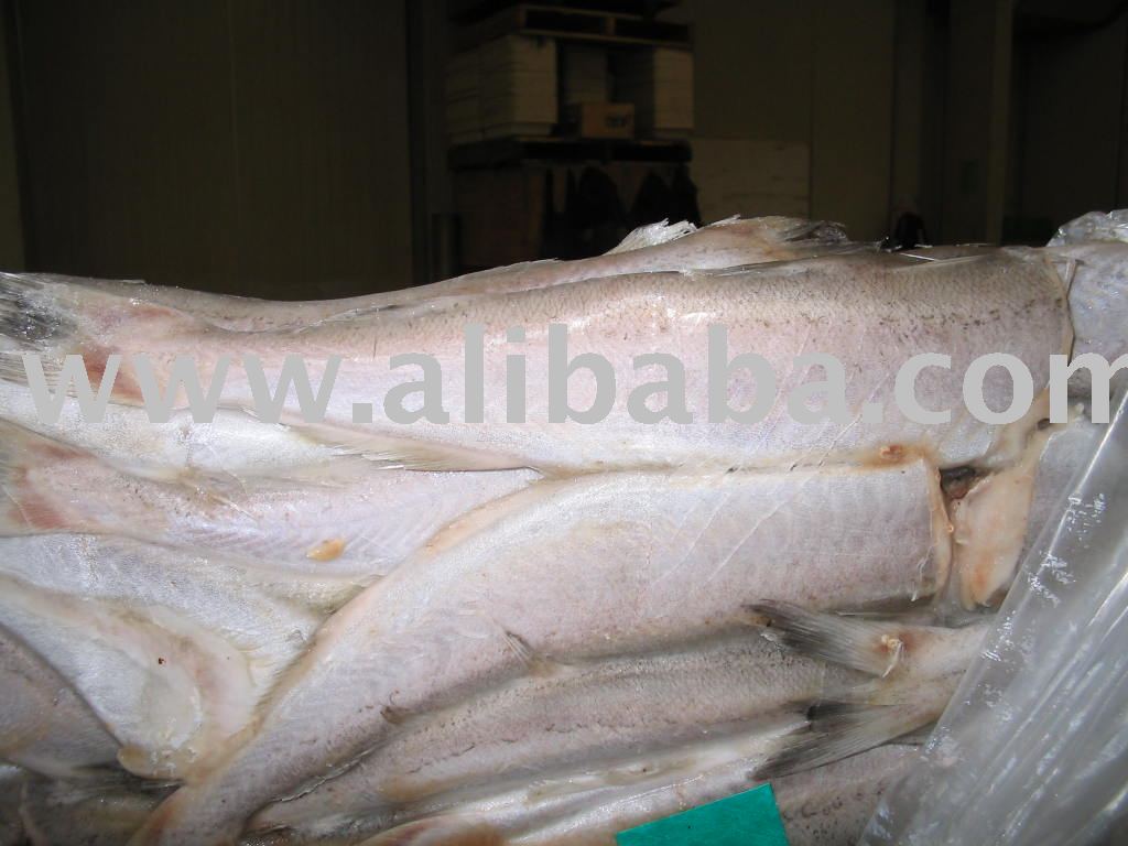 Southern Blue Whiting Dre, Tail On.  seafood