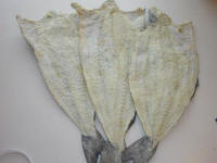 Dried & Salted Aquatic Products