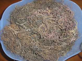 Raw Material of Dried Seaweed