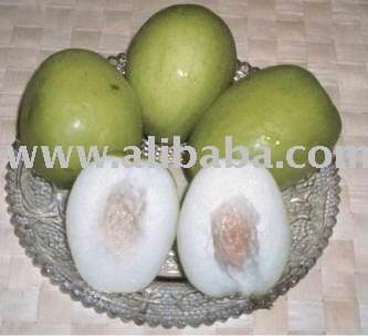 jujube