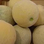 cantaloupe