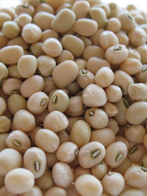 cowpea beans