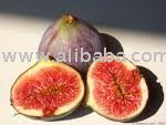 fig