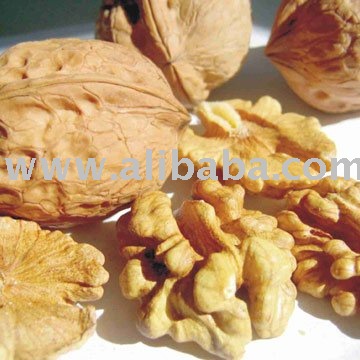 Walnuts Kernel and other nuts for sale