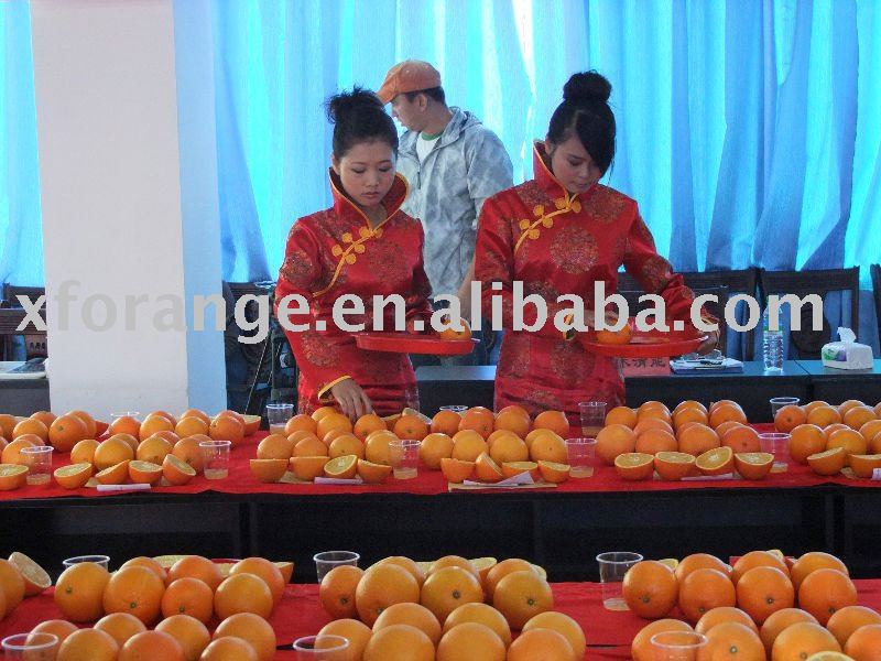 Fresh valencia orange
