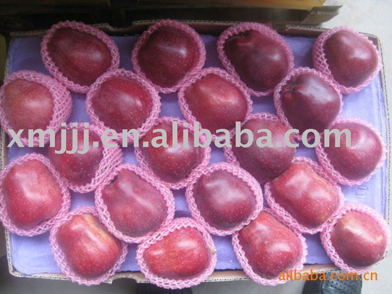 Red delicious apple