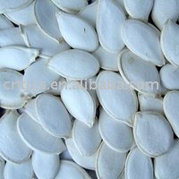 Snow White Pumpkin Seeds 11cm 13cm, new crop