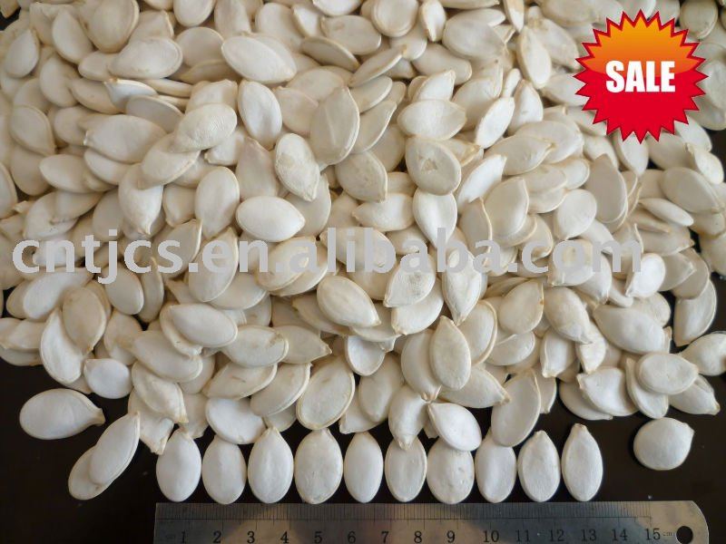 High Quality  Squash   Seed s