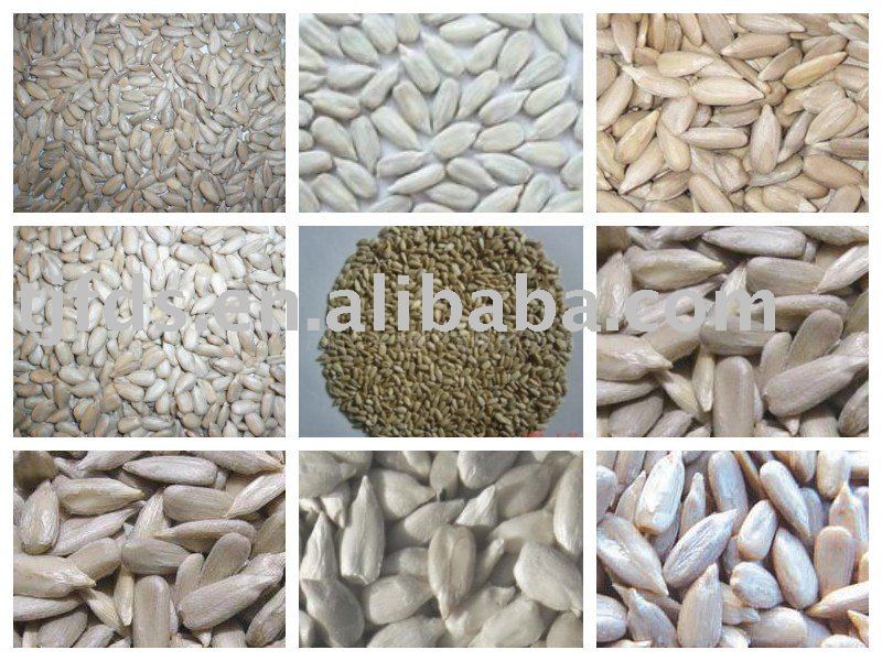 NEW CROPS Sunflower Kernels