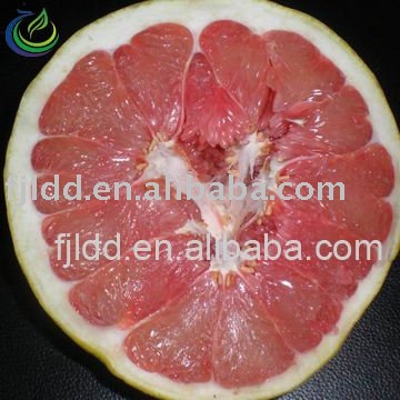 Guanxi  Honey   Pummelo 