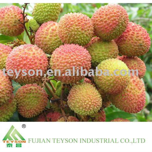 Fresh Litchi from China by SEA or AIR (June- July)