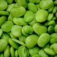 lima beans