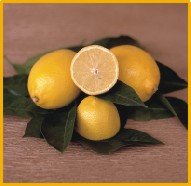 LEMON-ENTERDONATE