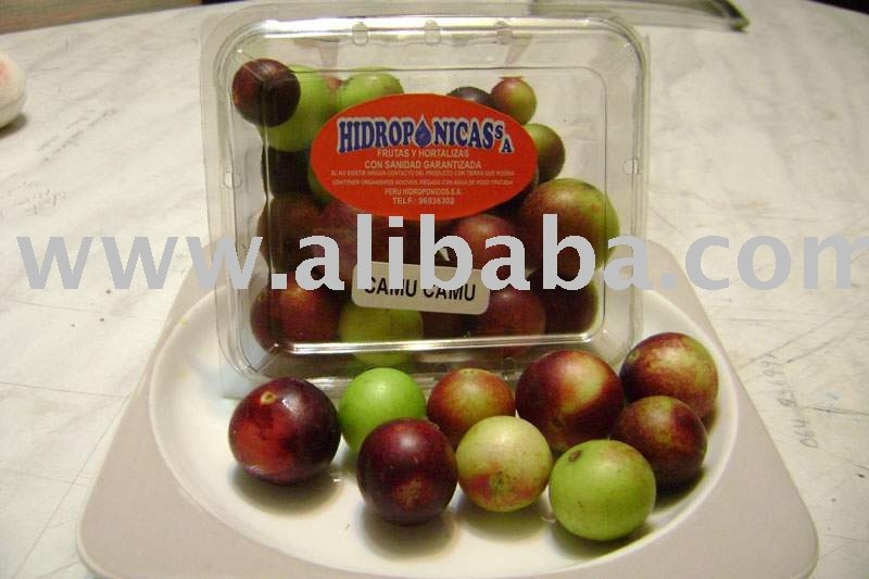 Camucamu (Myrciaria Dubia)
