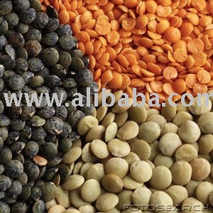 lentils