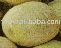 Cantaloupe
