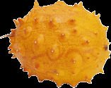 Kiwano fruit