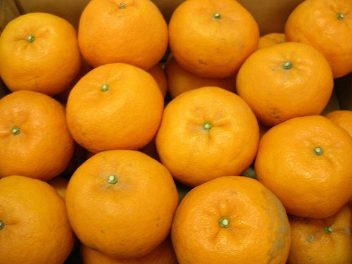 Fresh Juicy Honey Mandarin For sale