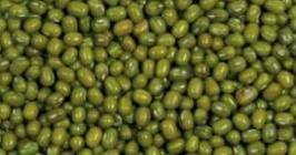 Green  Moong  Bean