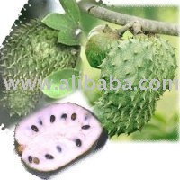  Fresh   Soursop  Fruit