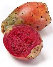  Cactus   Pear s
