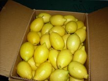 fresh lemon