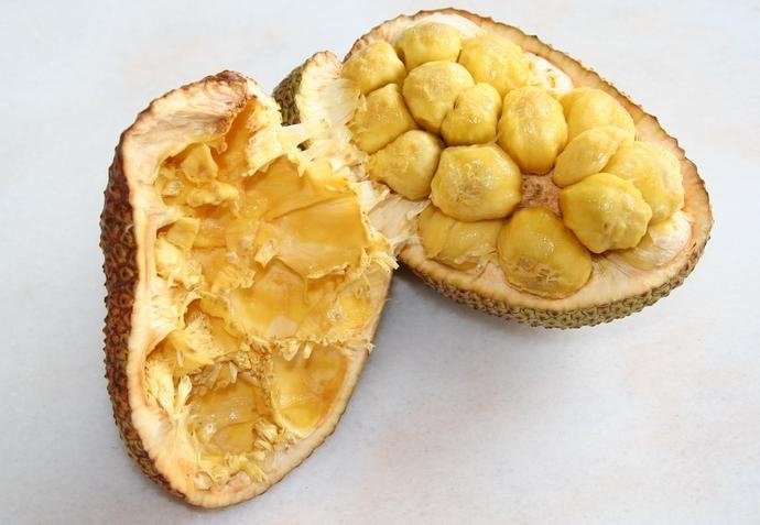 Cempedak