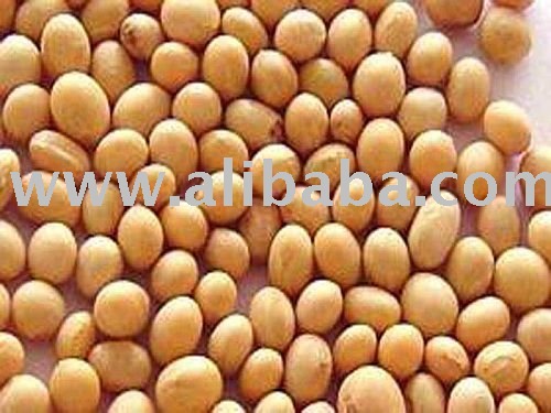 Soya beans