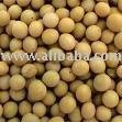 soya bean