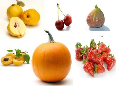 Fruit  Jam  /  Marmalade 