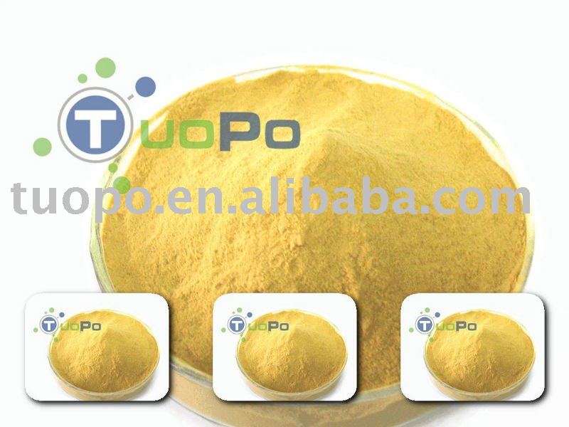 high protein  yeast  extract powder for food