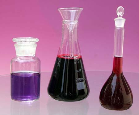 Red Cabbage Color Food Color Food Pigment