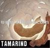 Tamarind Fruit Tamarindus Indicus